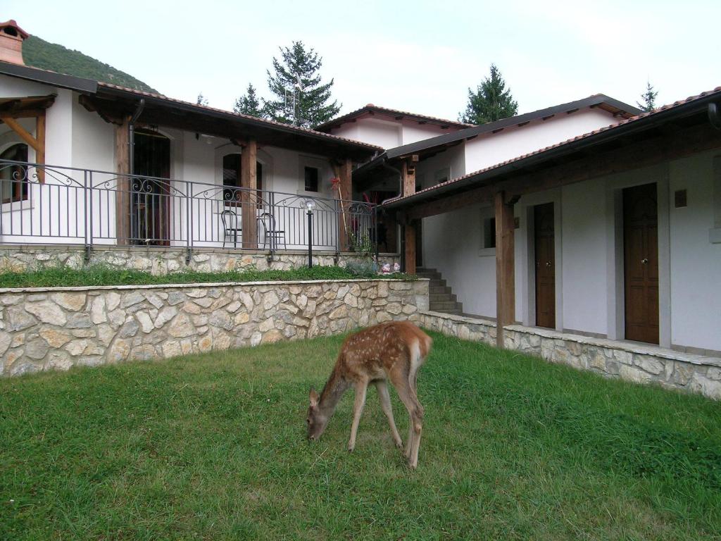 Alloggi tipici e B&B di Villetta Barrea