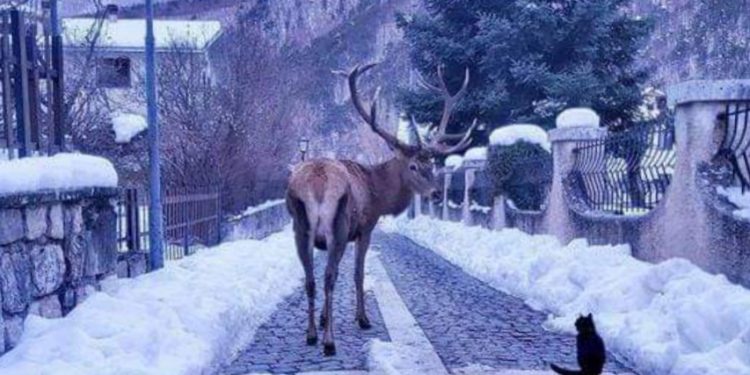 Villetta Barrea in inverno con la neve